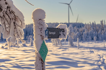 Ski center in Ludvika municipality in southern Dalarna Sweden for cross-country skiing and dog...