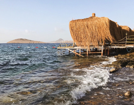 Beach relax on the sea shore.の写真素材