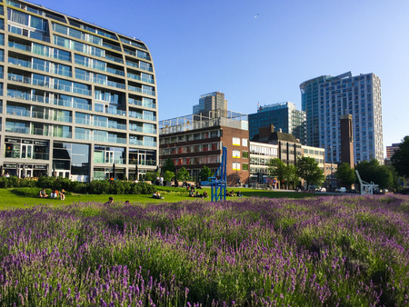 Rotterdam / The Netherlands - June 5, 2018: Contemporary architecture of Rotterdam city and lavender flowers in front of itの写真素材