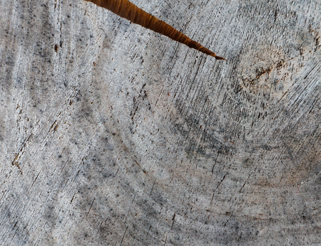 Background from cross section of tree trunk. Abstract texture from the rings of old weathered wood with a crackの写真素材