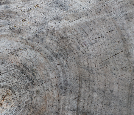 Background from cross section of tree trunk. Abstract texture from the rings of old weathered wood with a crackの写真素材