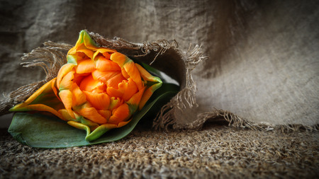Beautiful orange tulip with a linen napkinの写真素材