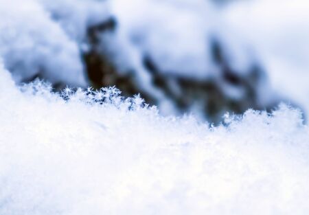 Background of fresh snow. Natural winter background. Snow texture in blue toneの写真素材