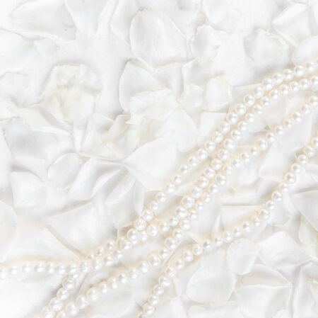 Pearl necklace on a background of white rose petals. Ideal for greeting cards for wedding, birthday, Valentine's Day, Mother's Dayの写真素材