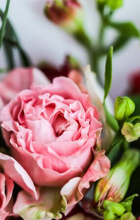 Botanical concept, wedding invitation card - Soft focus, abstract floral background, pink rose flower. Macro flowers backdrop for holiday brand designの写真素材