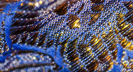 Blue and golden abstract blur defocused background.の写真素材