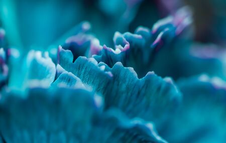 Retro art, vintage card and botanical concept - Abstract floral background, blue carnation flower. Macro flowers backdrop for holiday brand designの写真素材