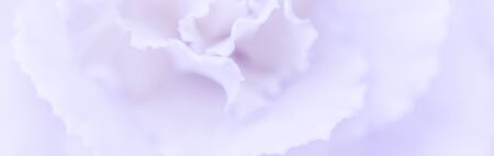 Retro art, vintage card and botanical concept - Abstract floral background, pale violet carnation flower. Macro flowers backdrop for holiday brand designの写真素材