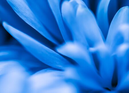 Retro art, vintage card and botanical concept - Abstract floral background, blue chrysanthemum...