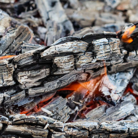 Flames of fire and hot coals of burned wood. Space for copy, text, your words.