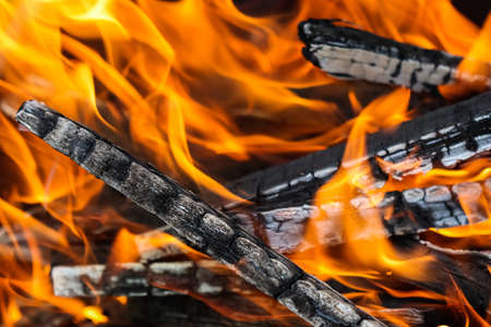 Flames of fire and hot coals of burned wood. Space for copy, text, your words.の写真素材