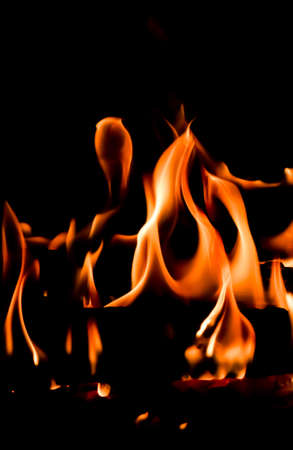 Red blaze Fire flame on a black background