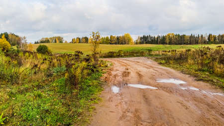 Withered grass on the field, yellow leaves of trees and a road with puddles after rain. Autumn backgroundの写真素材