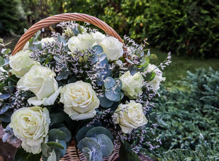 Bouquet of beautiful white roses in a wicker basket on a green background. Perfect for greeting cardの写真素材