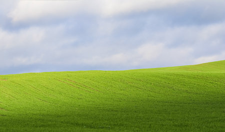 Green grass field on hills and blue sky with clouds in the countryside. Natural landscape