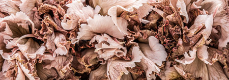Retro art, vintage card and botanical concept - Abstract floral background, pink carnation flower petals. Macro flowers backdrop for holiday brand designの写真素材