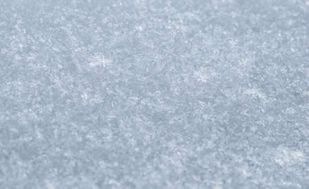 Fresh snow background. Nature winter backdrop. Snow texture in blue tones.の写真素材