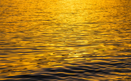 Golden sea waves in sunset glow as surface background. Summer holidays and coastal nature conceptの写真素材