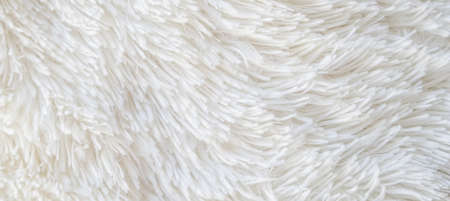 Long pile carpet texture. Abstract background of shaggy white fibers. High quality photoの写真素材