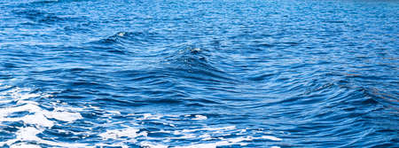 Blue sea waves in sunshine glow as surface background. Summer holidays and coastal nature concept