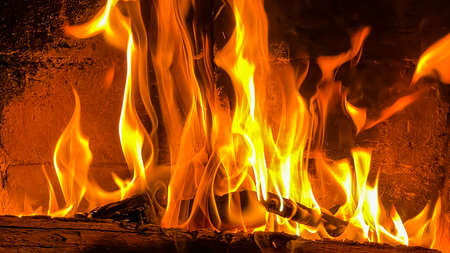 Flames of fire on a black background. Burning wood in the fireplace