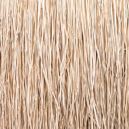 Close up of thatch roof or wall background. Tropical roofing on beach. High quality photoの写真素材
