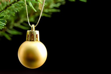 Yellow ball on a green branch of a Christmas tree isolated on a black background. Holiday conceptの写真素材