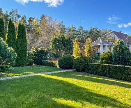 Landscaping of a garden with a green lawn, colorful decorative shrubs and shaped yew and boxwood, Buxus, in autumn. Gardening concept.の写真素材