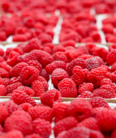 A vibrant, close-up shot of numerous fresh, ripe red raspberries, offering a rich texture and...