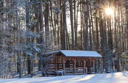 Cozy wooden gazebo covered with snow, surrounded by frosty pine trees and a blanket of white snow, bathed in golden morning lightの写真素材