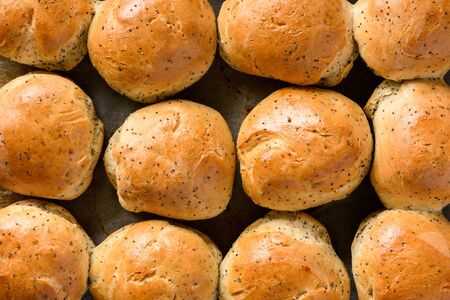 Homemade bread buns with poppy seeds.の写真素材