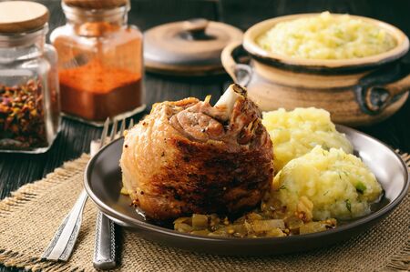 Baked turkey drumstick (knuckle) with onion and mustard sauce. Served with mashed potatoes.の写真素材