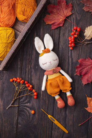 Knitted toy rabbit on a wooden background with autumn leaves and berries.の写真素材
