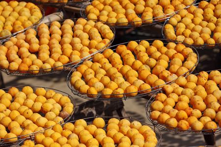 Persimmon in the open acceptance of solar insolation