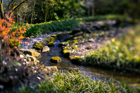 Stream in the Keukenhof garden Lisse Netherlandsの写真素材