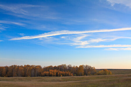 Autumn rural landscapeの写真素材