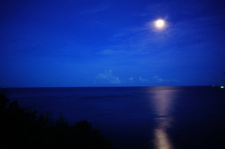The moonの写真素材