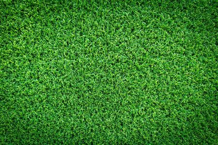 Grass field texture for golf course, soccer field or sports background concept design. Artificial grass.の写真素材