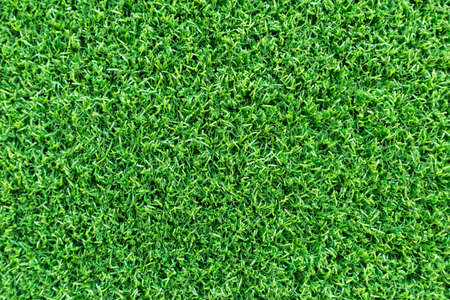 Grass field texture for golf course, soccer field or sports background concept design. Artificial grass.の写真素材