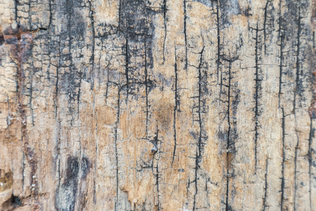 Wood texture background for interior exterior decoration and industrial construction concept design.の写真素材