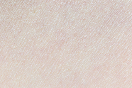 Pattern of human skin with cells and lines texture.の写真素材