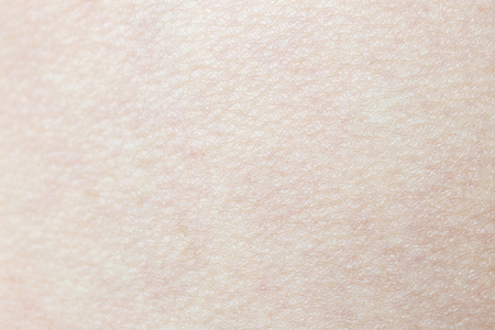 Pattern of human skin with cells and lines texture.の写真素材