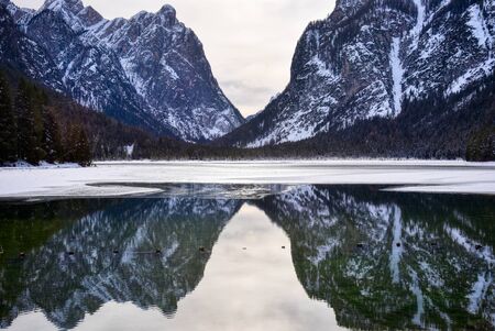 The mountains of the valley are reflected in the not frozen part of the lake of Dobbiacoの写真素材