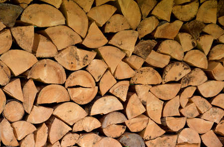 Logs of wood piled up in good order as a supply for the winter