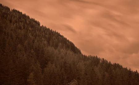 Large forests of the upper valley of Anterselva in a cloudy day. Infrared photoの写真素材