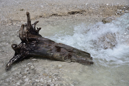 At the effluent stream of Lake Landro a tree trunk carried by the current awaits its endの写真素材