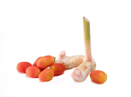 Tomato and Galangal various herbs isolated on white backgroundの写真素材