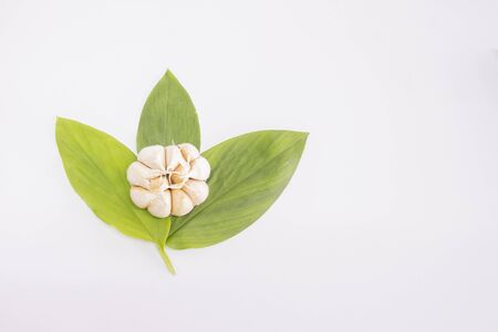 Garlic with leaf. Garlic isolated on white background space for textの写真素材