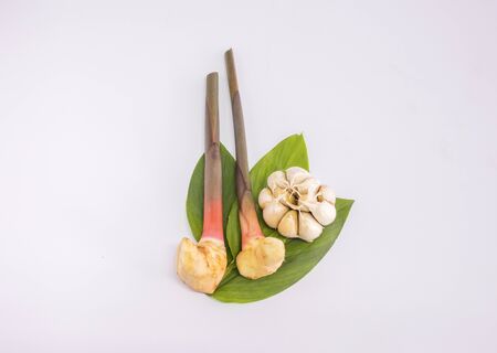 thai spice galangal, garlic, laying on white backgroundの写真素材