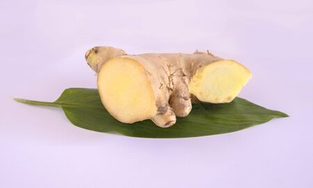Ginger can be used fresh, dried, powdered, or as an oil or juice, and is sometimes added to processed foods and cosmetics.の写真素材